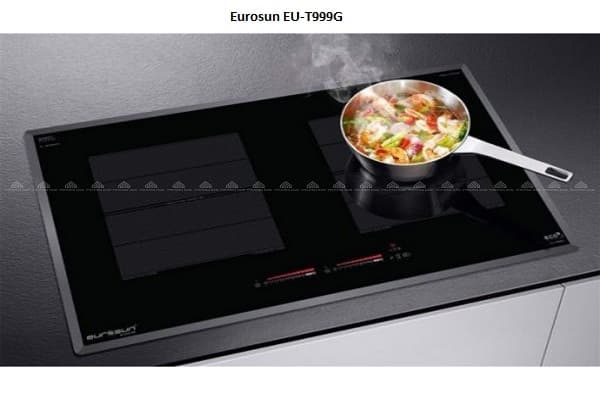 Bếp từ Eurosun T999g